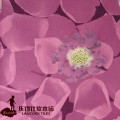 乐得仕软木地板