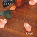 森林之旅柚木地板
