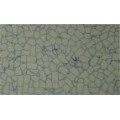PVC面全钢防静电地板星光