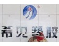 [希见吊顶]选希见，有远见