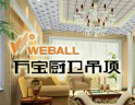 引领时尚吊顶潮流发展