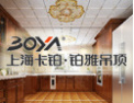 [卡铂·铂雅吊顶]荣获“中国优秀共产党员经营户”品牌