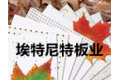 石家庄埃特尼特板业有限公司
