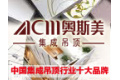 广州奥斯美电器有限公司