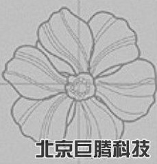 莲花组合