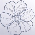 D-58盛夏莲花