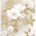 香槟花