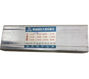主龙骨