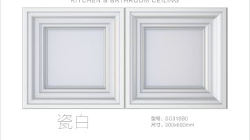 STEIN施丹smc吊顶小皇朝300*600系列