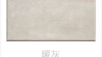 STEIN施丹smc吊顶典雅皮300*600系列