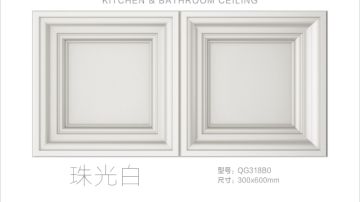 STEIN施丹smc吊顶小皇朝300*600系列
