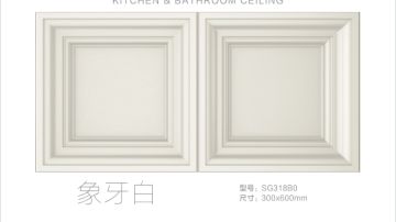 STEIN施丹smc吊顶小皇朝300*600系列