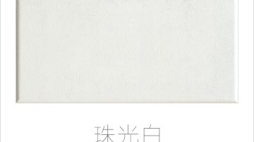 STEIN施丹smc吊顶典雅皮300*600系列