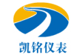 金湖凯铭仪表有限公司