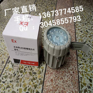 40wled防爆射灯，led防爆平台灯30w