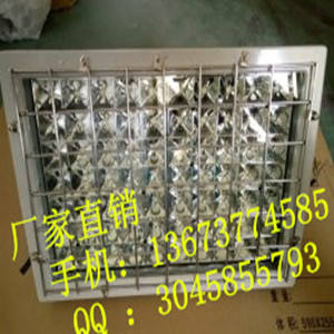 LED防爆投光灯80W,120WLED食品仓库防爆灯
