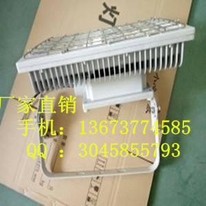 ccd97 100W防爆led泛光灯，LED防爆免维护节能灯