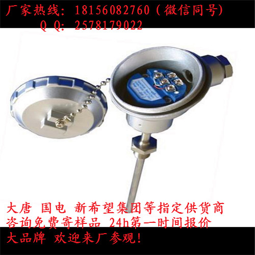 西安热电偶wrn-231中能战略合作单位热电偶