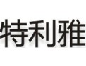 [特利雅照明]客户遍布东南亚等国家