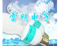 [雷明电子]XED特种节能新光源
