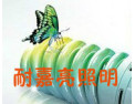 [耐嘉亮照明]温馨来自光明，品质源于用心！