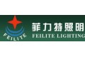 开化菲力特照明有限公司