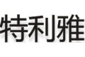 中山市特利雅灯饰厂