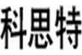 深圳市科思特光电有限公司