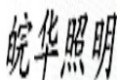 上海皖华照明电器有限公司