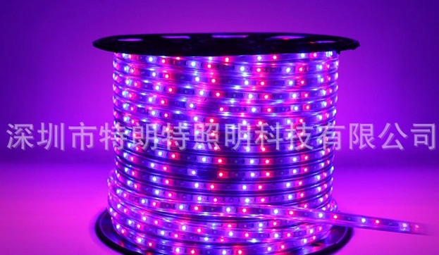 高压软光条 120V 柔性LED灯带
