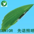 先诺HID氙气路灯 YPXL004