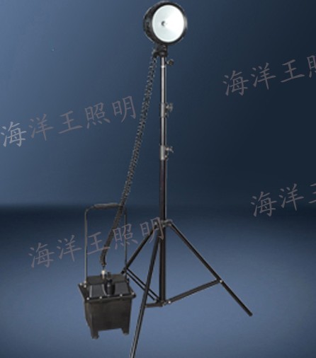 FW6103GF防爆泛光工作灯