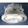 NFC9176长寿顶灯