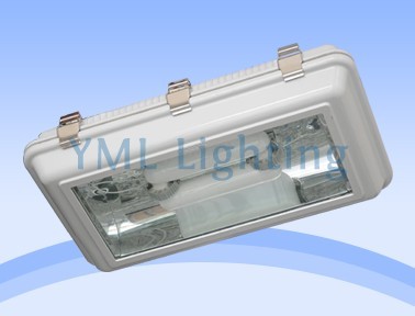 隧道灯YML-TL03-W80~200