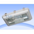 隧道灯YML-TL03-W80~200