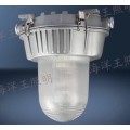 NFC9180防眩应急泛光灯