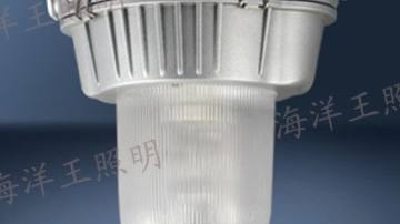 NFC9180防眩应急泛光灯