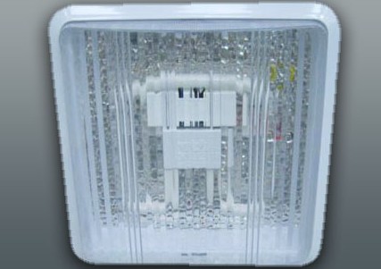 NWX1013冰清