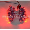 led穿孔字灯串