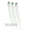 直管型节能灯