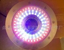 led喷泉灯