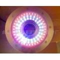 led喷泉灯