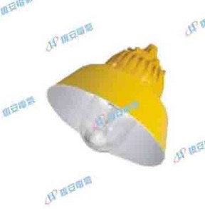 高效防爆平台灯