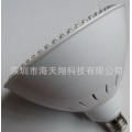 LED 蔬菜生鲜灯