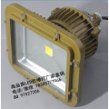 60wled防爆投射灯,管吊式led防爆灯70w