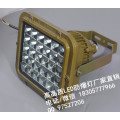 ccd97免维护led防爆泛光灯