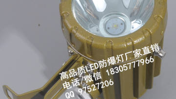 反应釜视孔灯,防爆局部照明灯