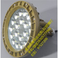 30wled防爆吊灯,led防爆壁灯20w