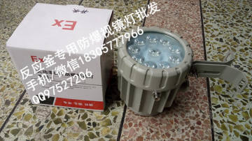 bsd96防爆led视孔灯,20w12V防爆视镜灯