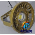 20wled隔爆型防爆灯,粉尘防爆吊灯30w